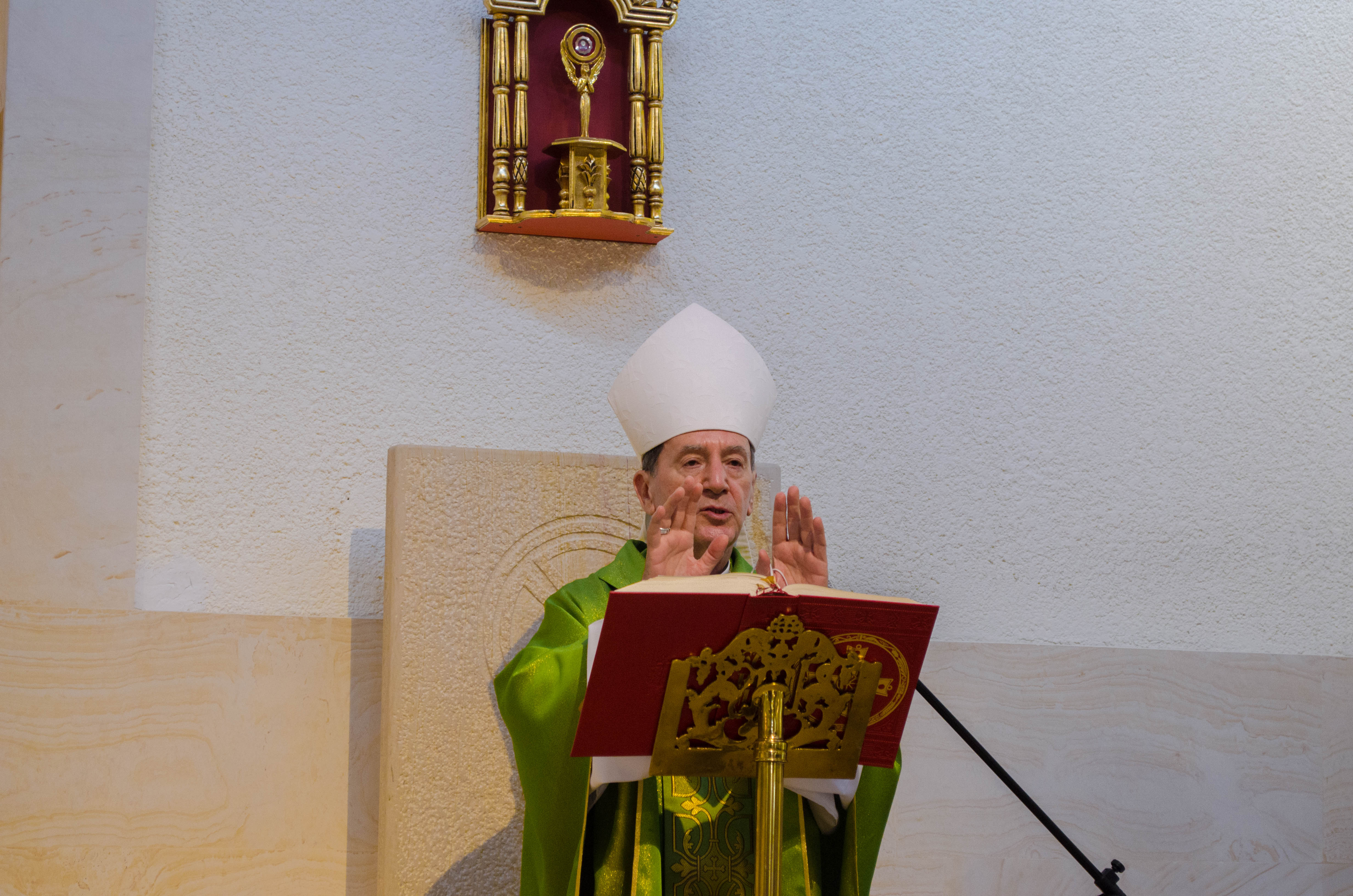 Comunidad Santo Domingo Savio