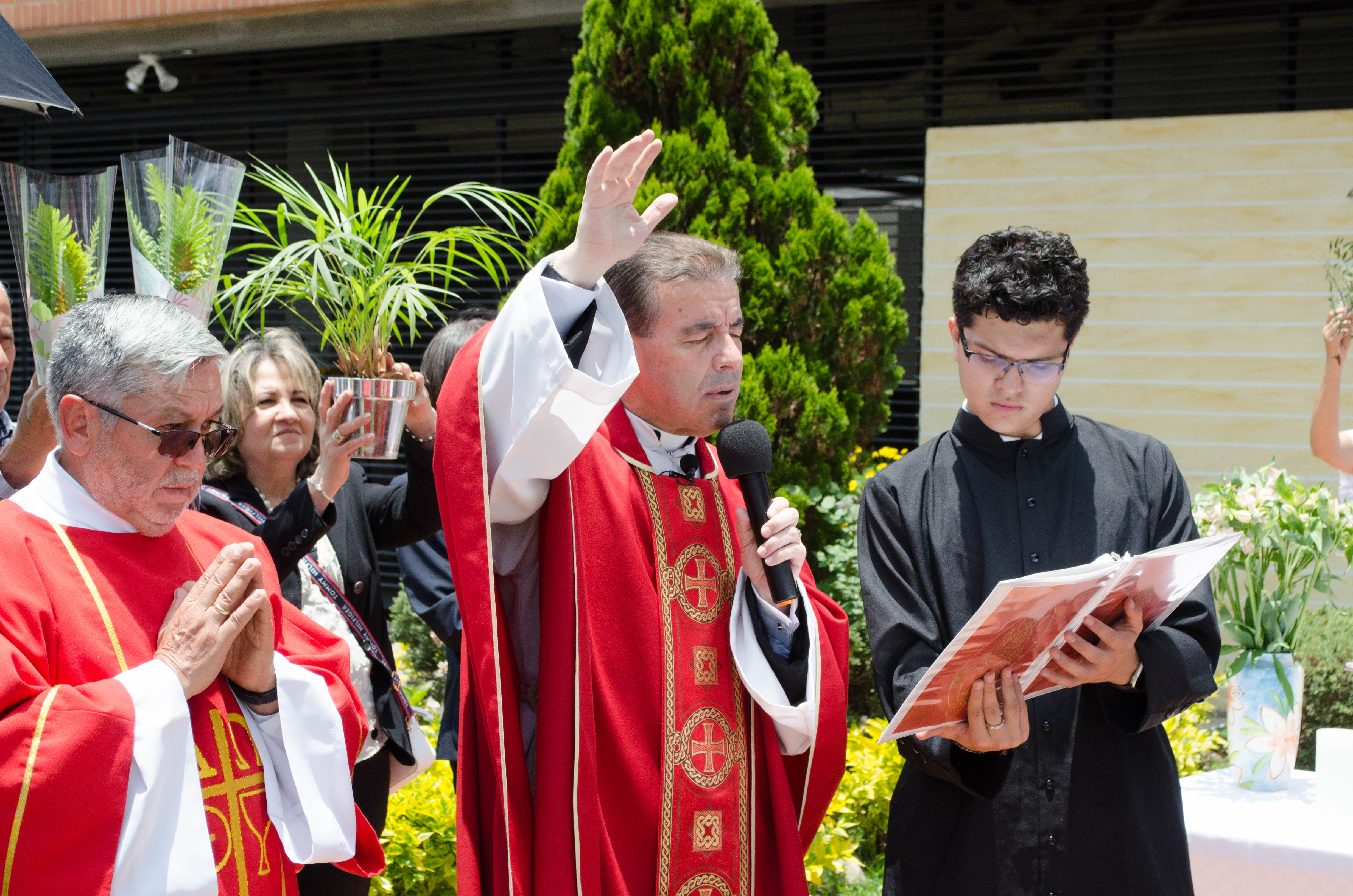 domingo de ramos