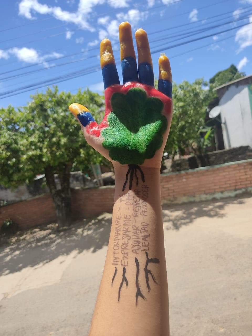 #MisManosConstruyenSEAB