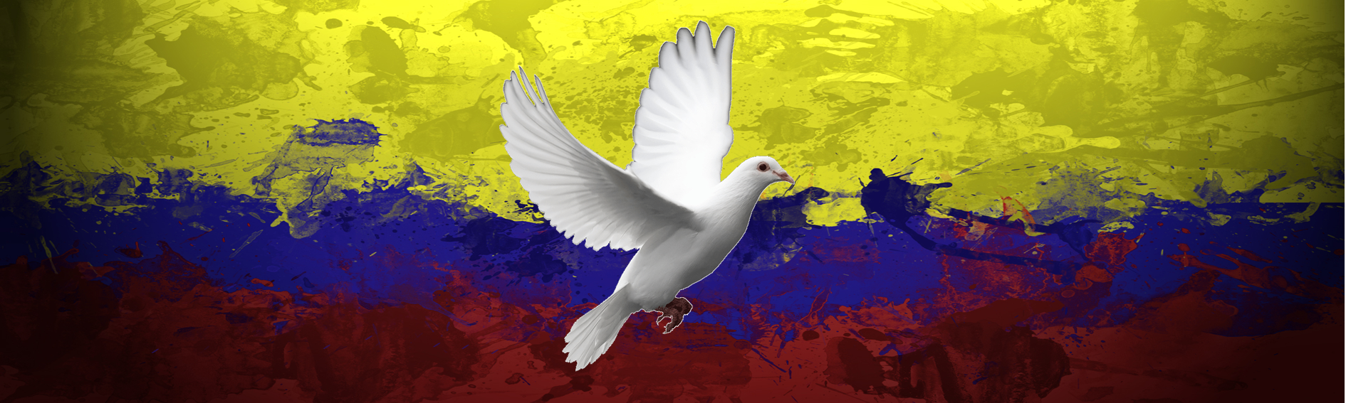 https://arquimedia.s3.amazonaws.com/27/noticias/paloma-colombiapng.png
