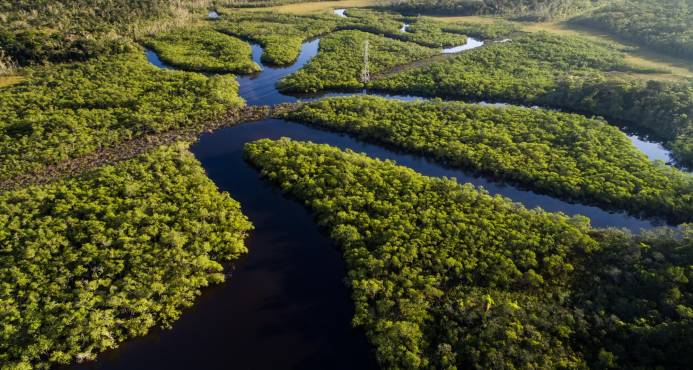 https://arquimedia.s3.amazonaws.com/375/confirmaciones/amazonia-julianajpg.jpg