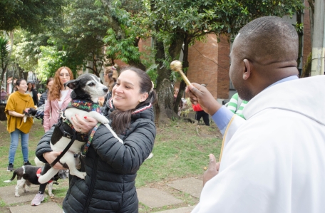 Bendición de mascotas 2025 san Francisco de Asís