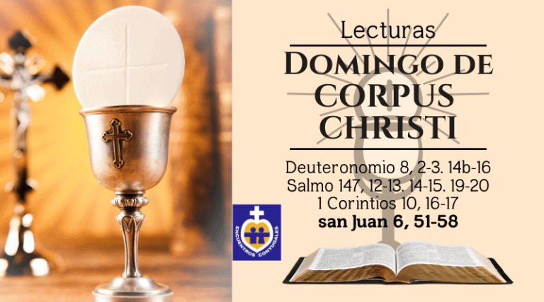 sEVANGELIO DEL DOMINGO