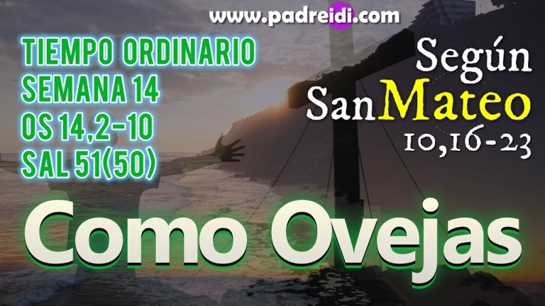 evangelio