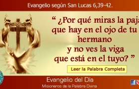 evangelio del dia